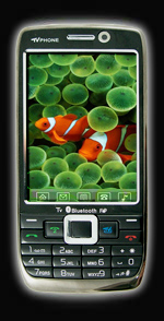 Купить мобильный телефон Nokia E71 TV (2 SIM карты, цветное ТВ)